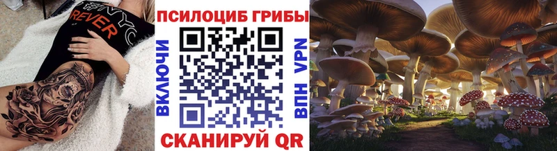 Псилоцибиновые грибы GOLDEN TEACHER  Сосновый Бор 